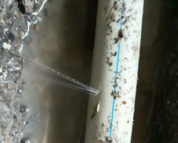 潮州卫生间测漏水多少钱