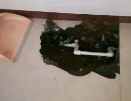 潮州卫生间测漏水多少钱